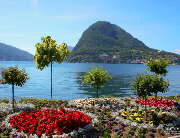 lugano