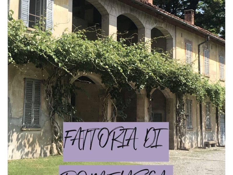 fattoria pomelasca